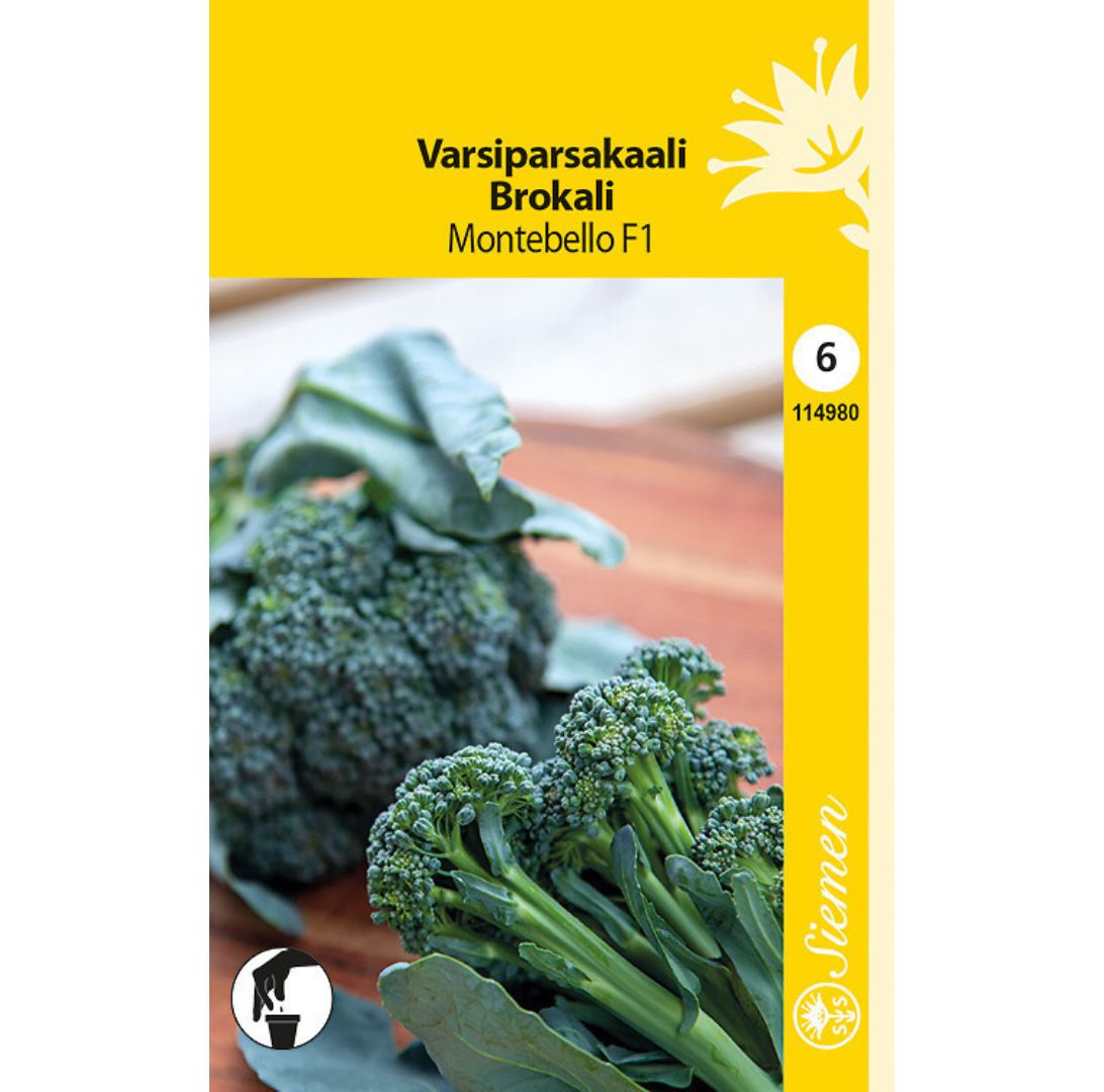 Broccolini, Bimi-5