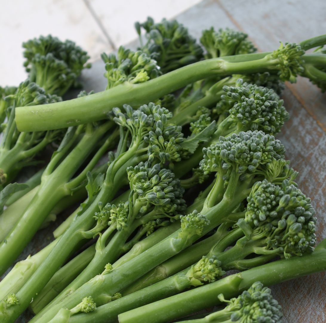 Broccolini, Bimi-2