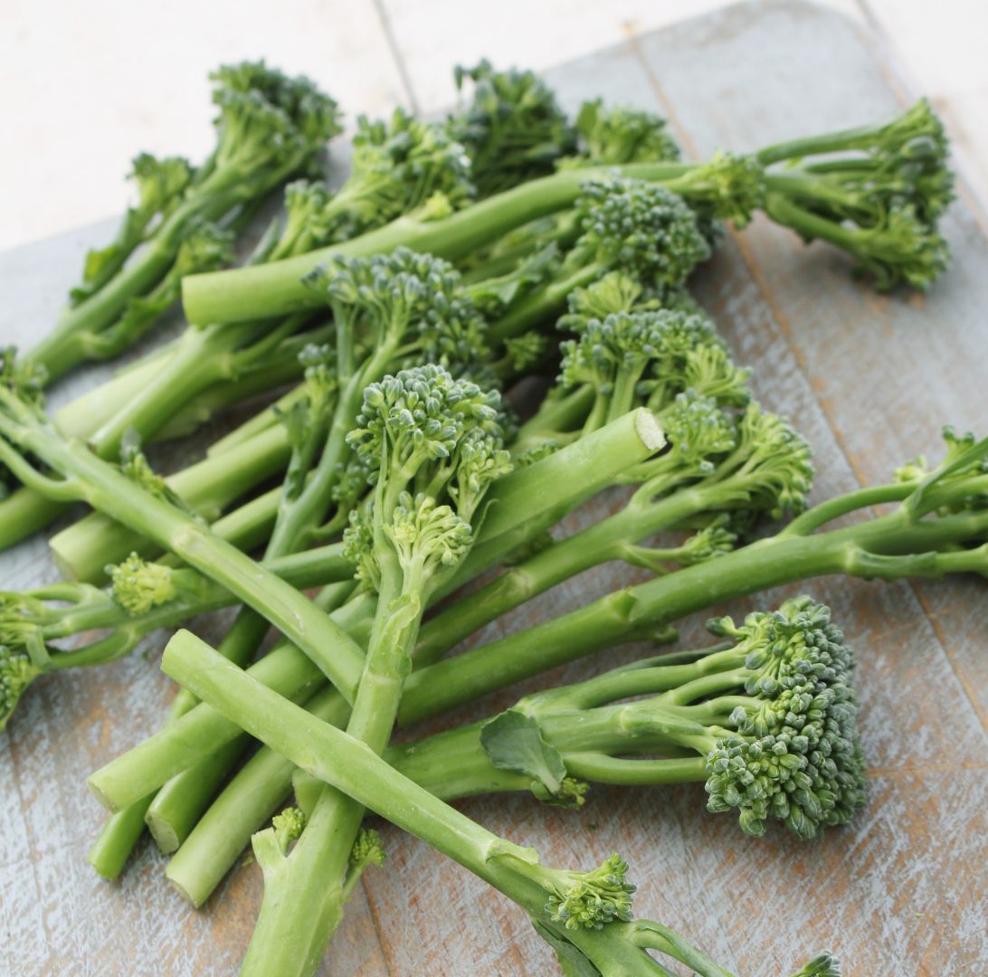 Broccolini, Bimi-4